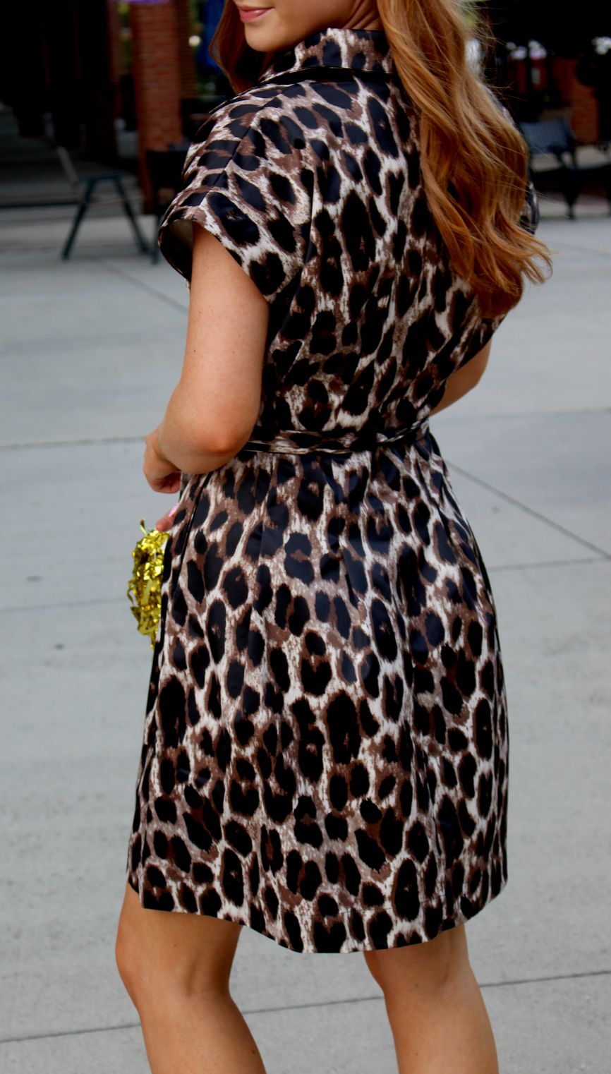 Fit &amp; Darts Dress | Leopard