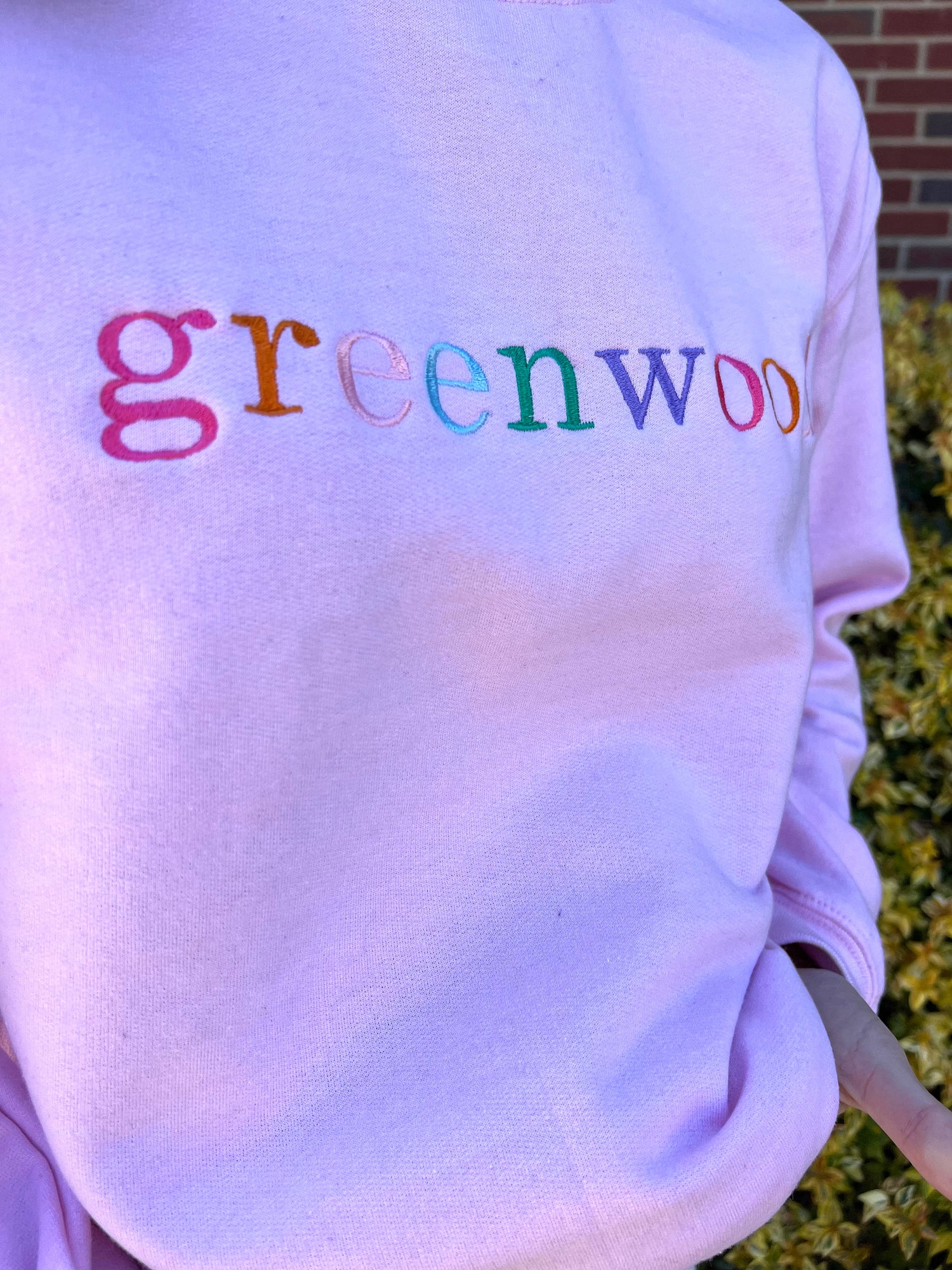 Colorful Greenwood Sweatshirt | Light Pink