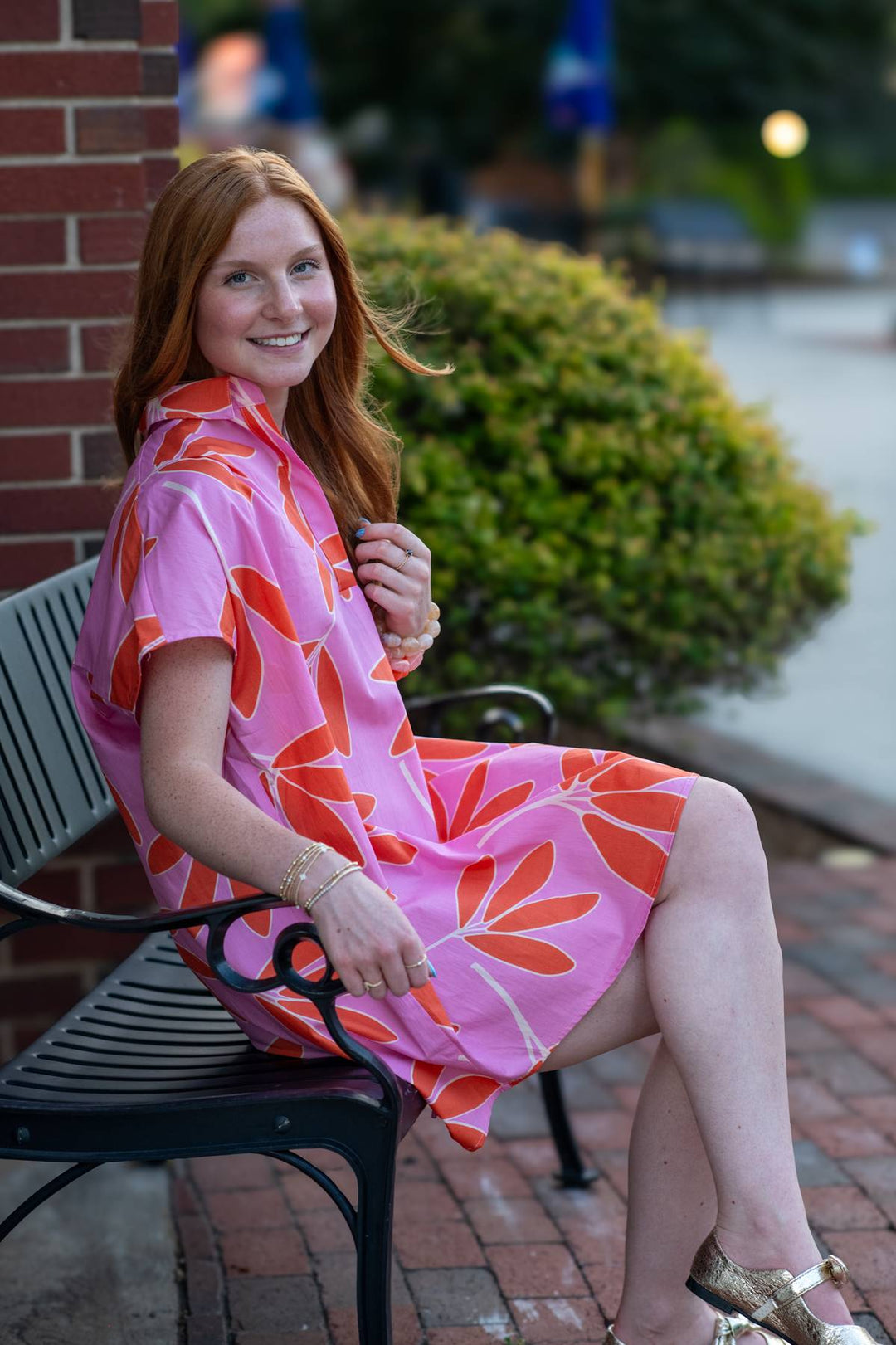 Palmer Shirt Dress