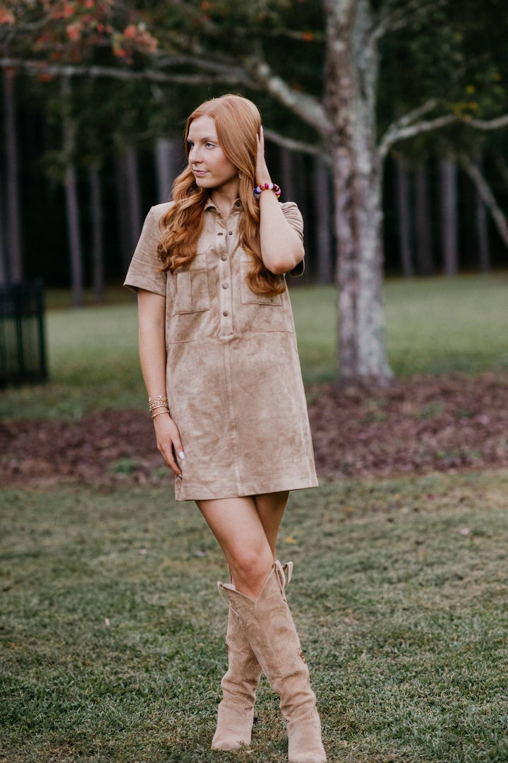 Leone Faux Suede Mini Dress