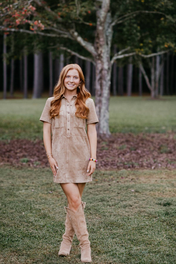 Leone Faux Suede Mini Dress