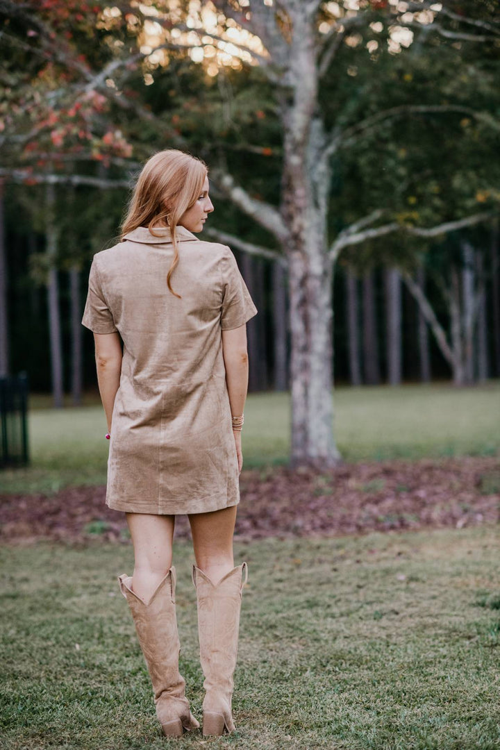 Leone Faux Suede Mini Dress