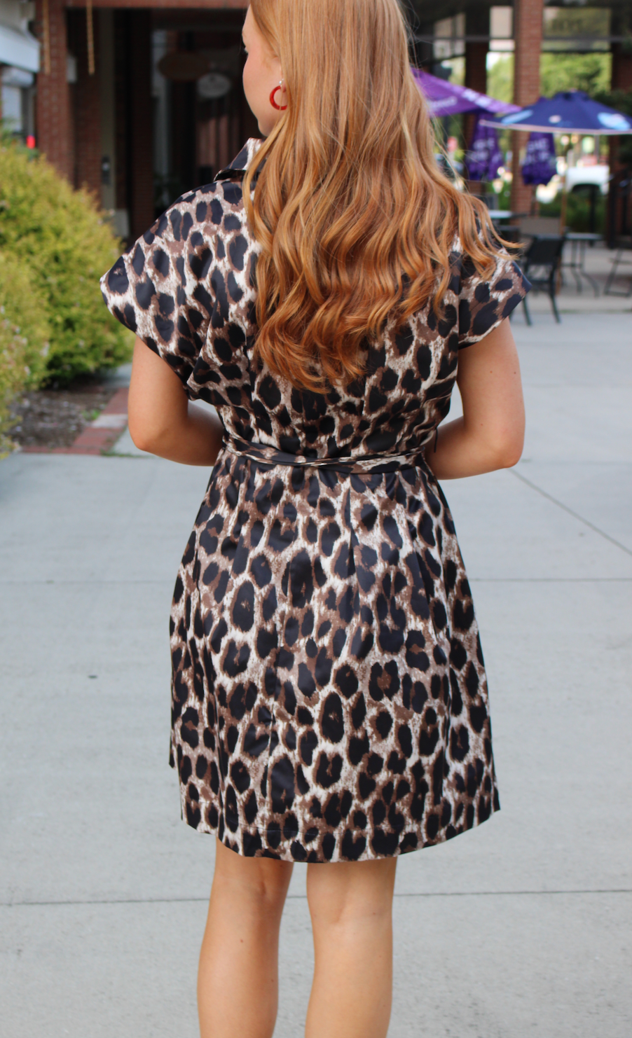 Fit &amp; Darts Dress | Leopard