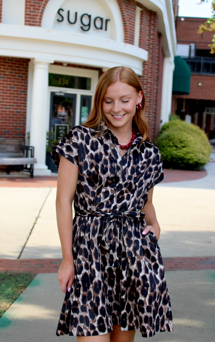 Fit &amp; Darts Dress | Leopard