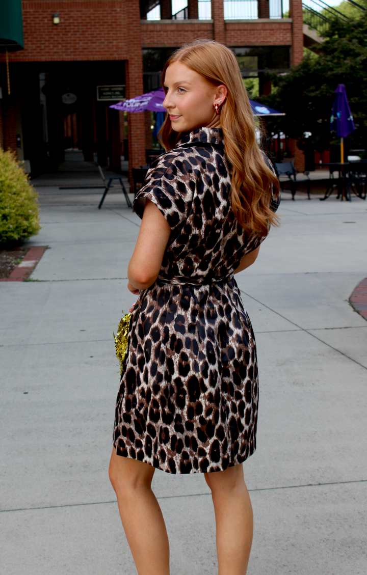 Fit &amp; Darts Dress | Leopard