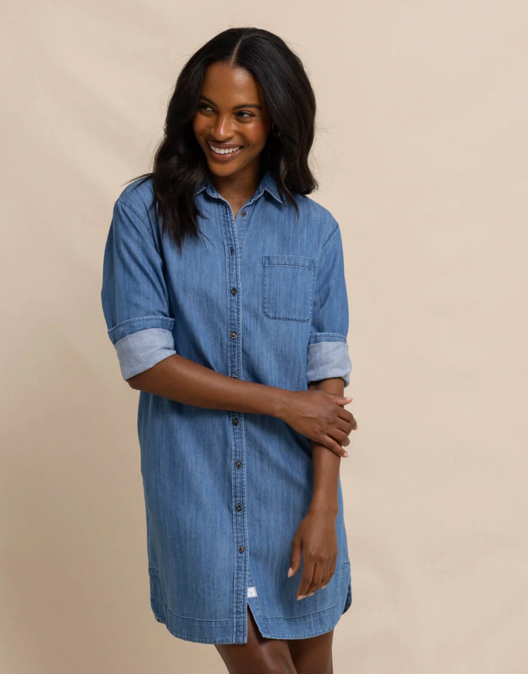 Cam Denim Dress