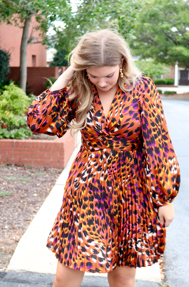 Wild About Autumn Dress