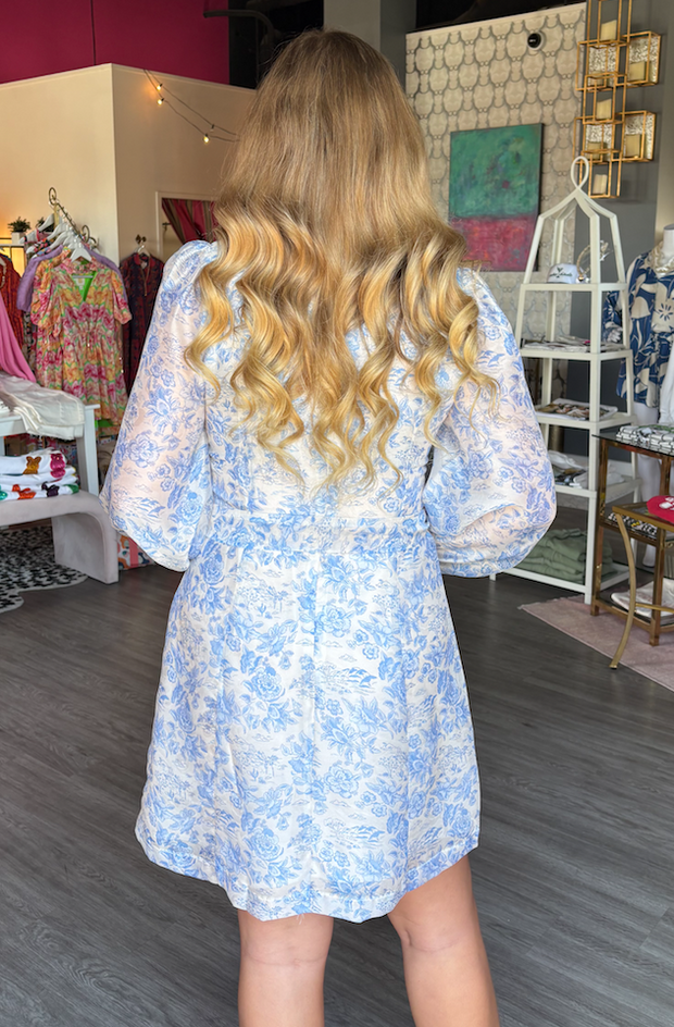 Baby Blue Garden Dress