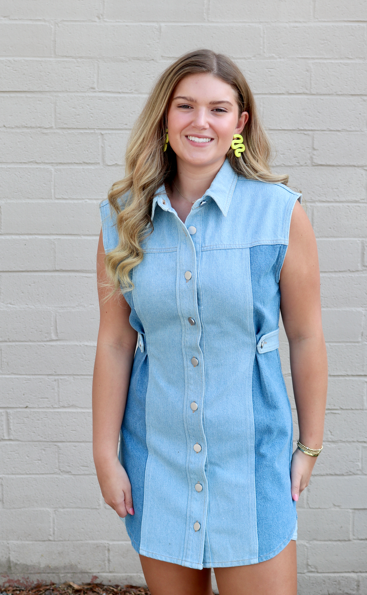 Stapleton Two Tone Dress