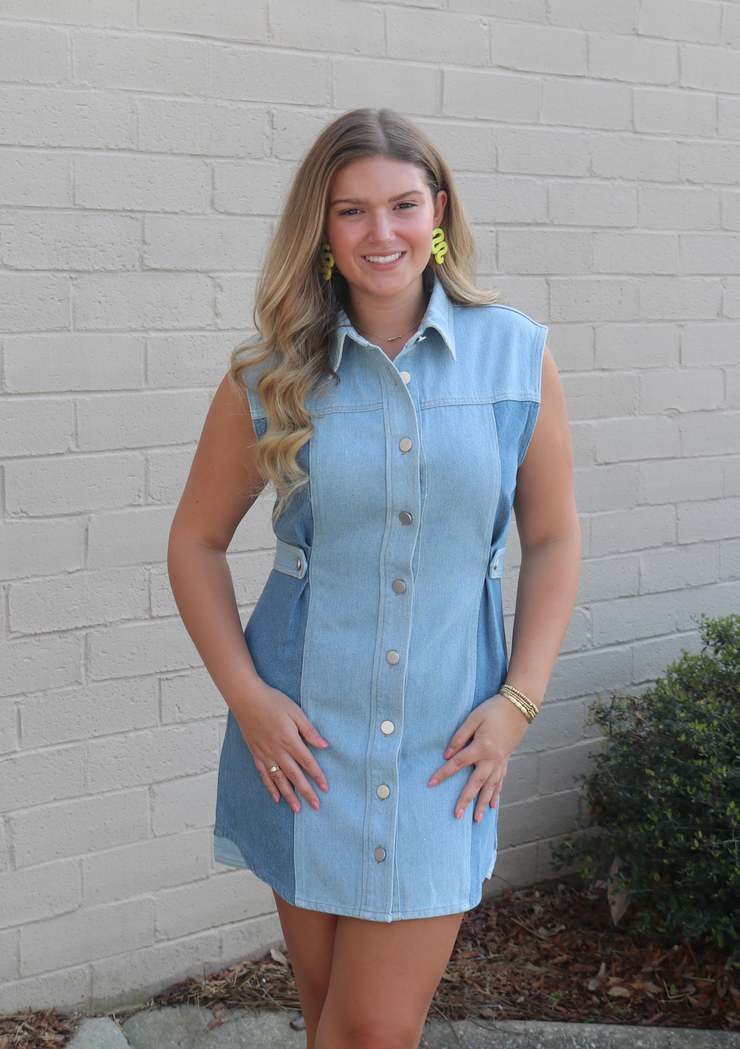 Stapleton Two Tone Dress