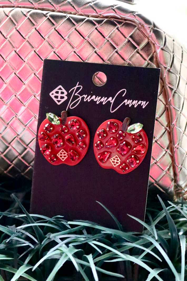Teacher Apple Earring