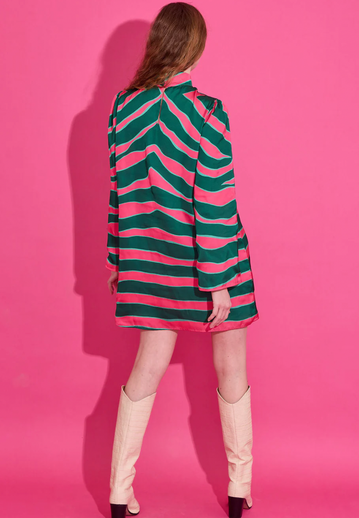 Emery Dress | Ziggy Palm