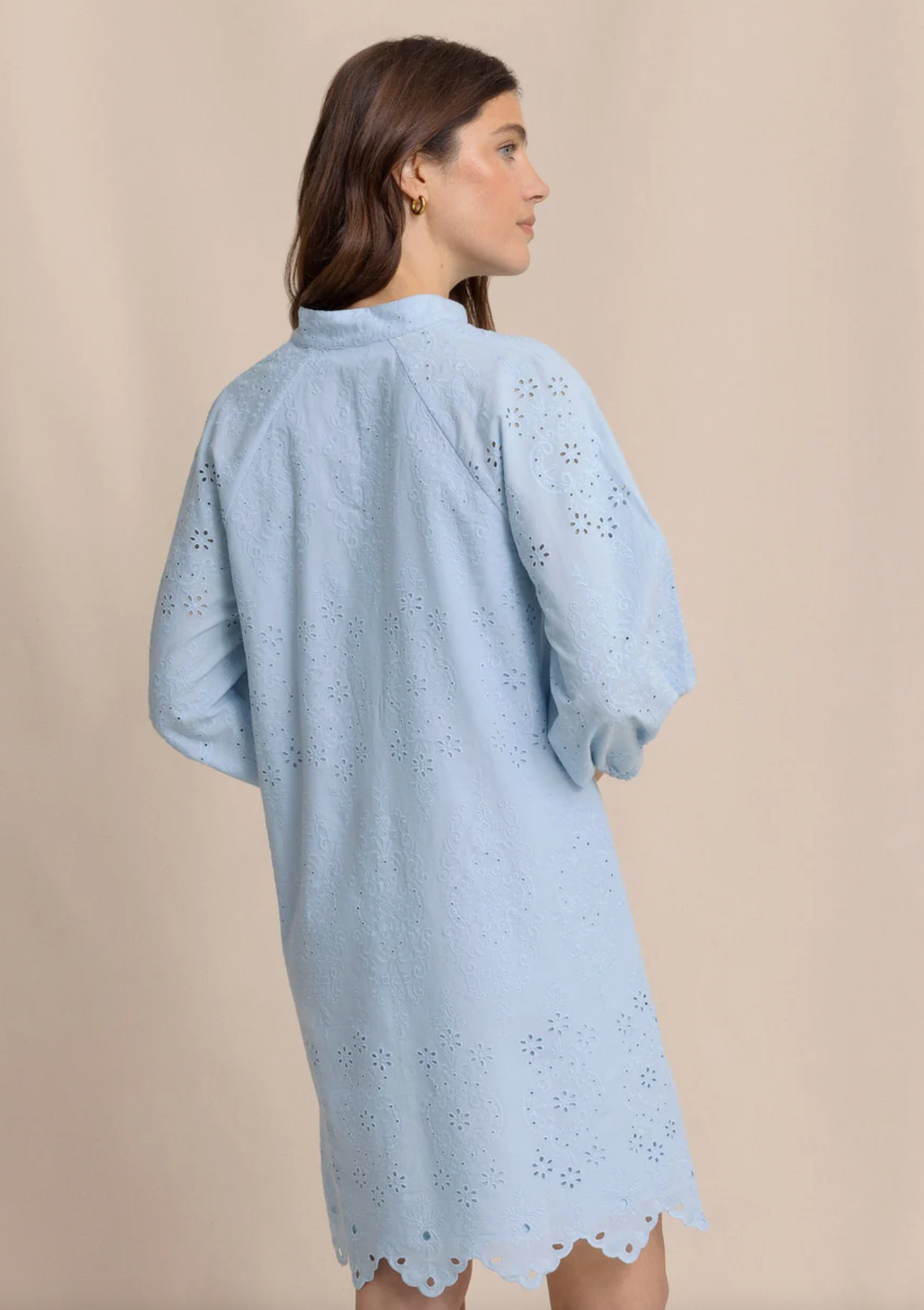 Mandy Embroidered Bubble Sleeve Dress
